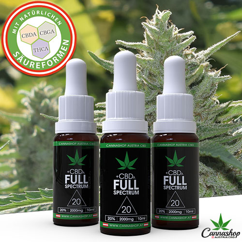 Cannashop 20% CBD Vollspektrum Öl 2+1 gratis