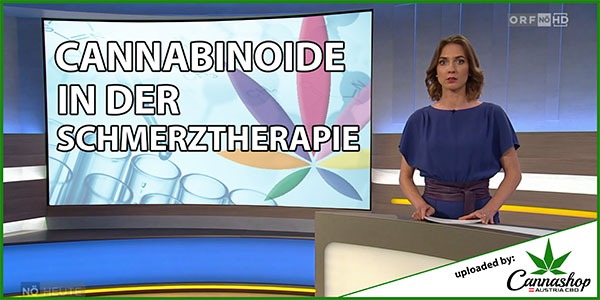Cannabinoide in der Schmerztherapie