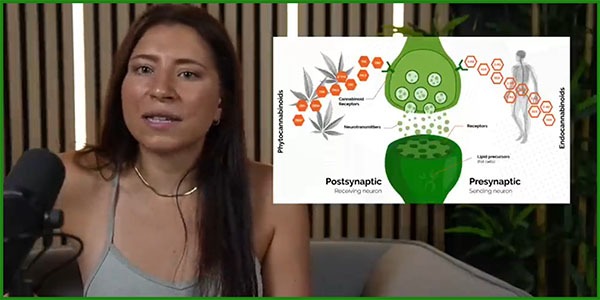 Dr. Sophie Imhof - Cannabis als Jungbrunnen ?